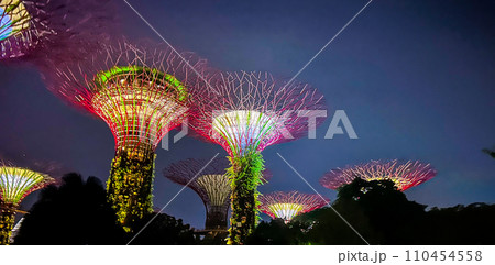 幻想的なライトアップのガーデンズ・バイ・ザ・ベイのスーパーツリーグローブ 110454558