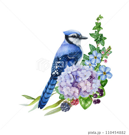 Spring garden floral decor with blue jay bird. Watercolor illustration. Hand drawn jay with spring garden flower decoration element. Bird with springtime garden floral decor. White background 110454882