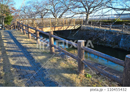 水辺の遊歩道　冬景色 　荒川運動公園通り沿い　さいたま市 110455432