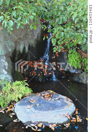 水辺の冬景色　荒川運動公園通り沿い　さいたま市 110455483