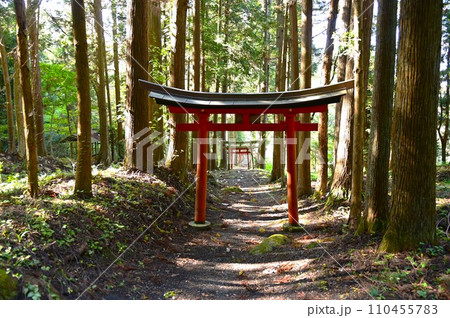 東和町の神社 大澤瀧神社 東和町の神社 大澤瀧神社 110455783