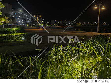 横浜ヨットハーバーの夜景 横浜ヨットハーバーの夜景 110456214