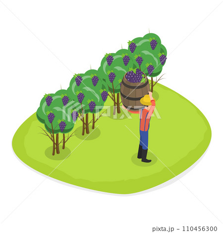 3D Isometric Flat Vector Illustration of Vineyard Harvesting. Item 1 110456300