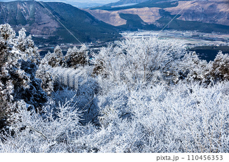 樹氷の草千里展望台から観る阿蘇谷 110456353
