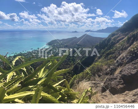 ハワイのラニカイピルボックストレイル（カイヴァリッジ・トレイル） 110456446