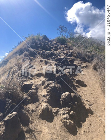 ハワイのラニカイピルボックストレイル（カイヴァリッジ・トレイル） 110456447