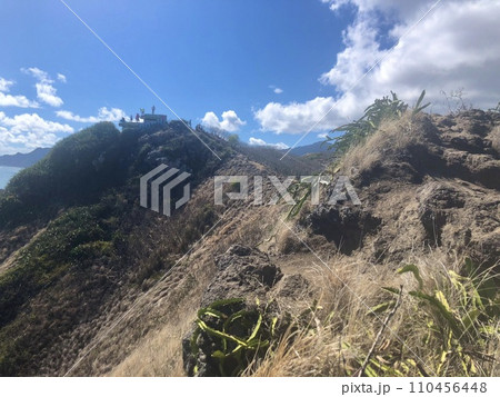 ハワイのラニカイピルボックストレイル（カイヴァリッジ・トレイル） 110456448