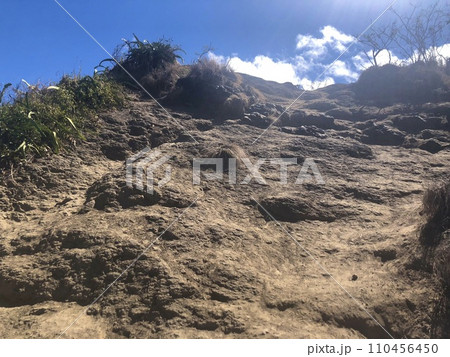 ハワイのラニカイピルボックストレイル（カイヴァリッジ・トレイル） 110456450