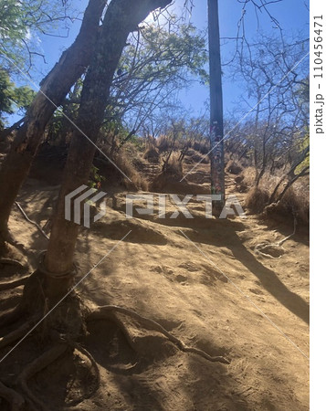 ハワイのラニカイピルボックストレイル（カイヴァリッジ・トレイル） 110456471