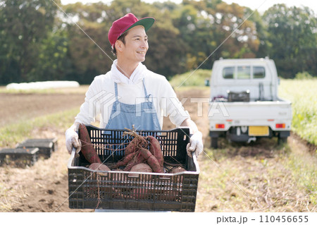vegetable field vegetable field 110456655
