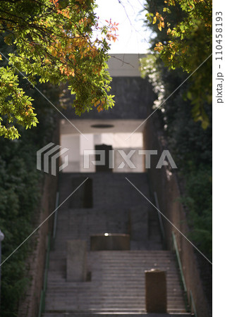 秋の現代美術館の階段オブジェ 秋の現代美術館の階段オブジェ 110458193