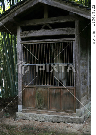 神社の神厩舎 110458222