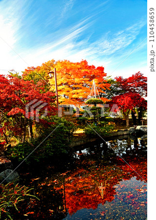 札幌10月秋の風景　平岡樹芸センター日本庭園の池面に写る青空・赤い紅葉・松の緑 110458659
