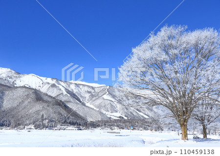 冬の白馬　厳寒の朝 110459138