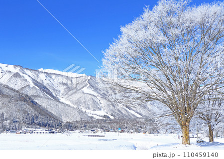 冬の白馬 厳寒の朝 冬の白馬 厳寒の朝 110459140