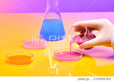 A hand is holding a beaker pouring pink liquid from it into a transparent petri dish. The Erlenmeyer flask contains a blue liquid. Yellow pink gradient background. A hand is holding a beaker pouring pink liquid from it into a transparent petri dish. The Erlenmeyer flask contains a blue liquid. Yellow pink gradient background. 110460264