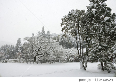 雪の久保山分校 雪の久保山分校 110460524