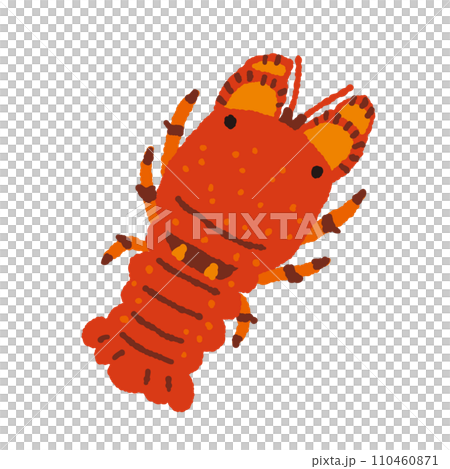 セミエビの手描きイラスト 110460871