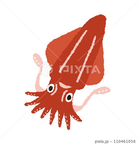 セーイカ【イカ】の手描きイラスト 110461058