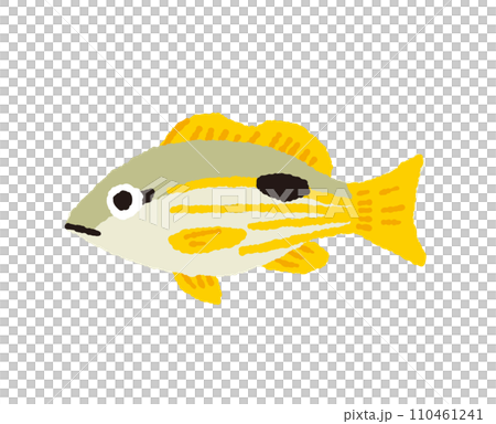 Yamatobi 手繪插畫【假黑鯛魚】 110461241