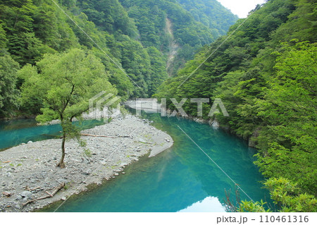 新緑の季節を迎えた寸又川(日本 静岡県榛原郡) 新緑の季節を迎えた寸又川(日本 静岡県榛原郡) 110461316