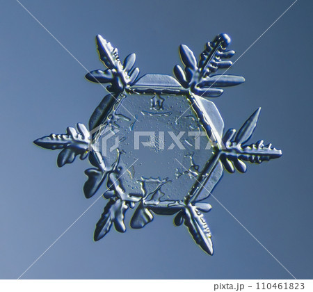 Natural snowflake crystal close-up macro photo 110461823