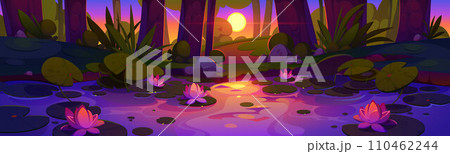 Rainforest swamp with lotus flowers at sunset 110462244