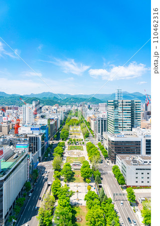 【北海道】さっぽろテレビ塔から見える札幌の街並み 110462316