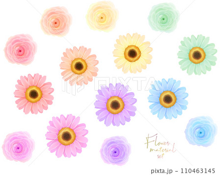 花の素材セット(ガーベラとラナンキュラス) 花の素材セット(ガーベラとラナンキュラス) 110463145