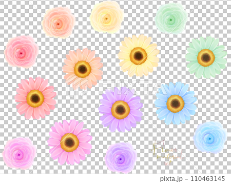 花卉材質套裝（非洲菊和毛茛屬） 110463145