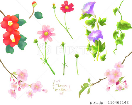 花の素材セット（季節の花） 110463148