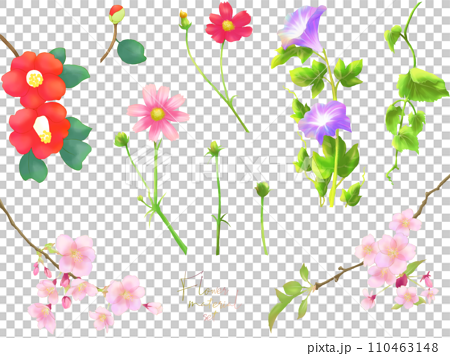 花の素材セット（季節の花） 110463148