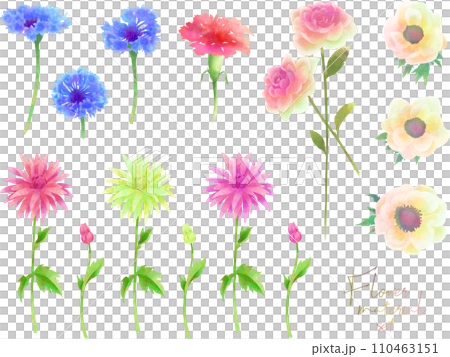 Flower material set (watercolor) 110463151