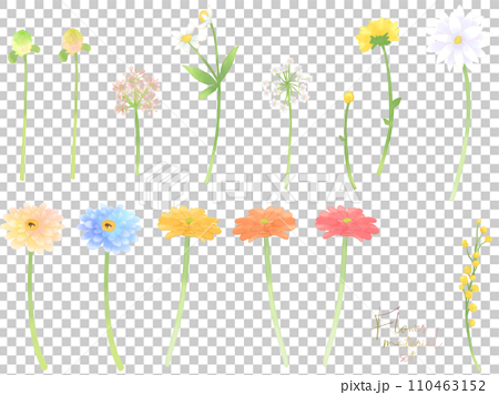 花の素材セット（水彩2） 110463152
