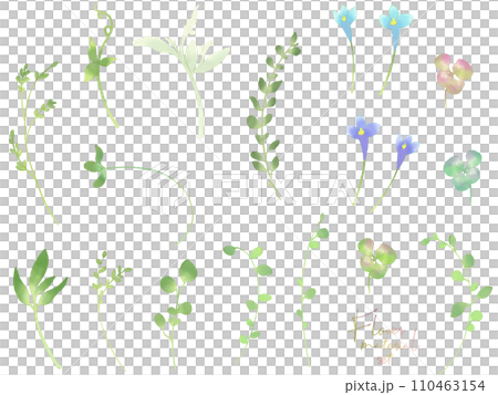 花卉材質套裝（水彩4） 110463154