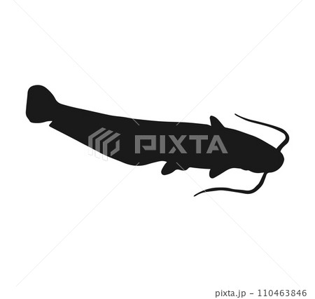 Vector hand drawn catfish fish silhouette 110463846