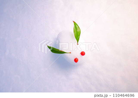 雪うさぎ　雪像　ウサギ　うさぎ　兎 110464696