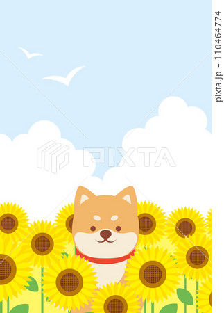 ひまわり畑に座っている柴犬の背景イラスト 110464774