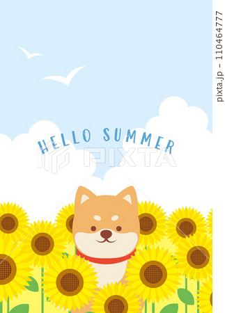 ひまわり畑に座っている柴犬の背景イラスト 110464777