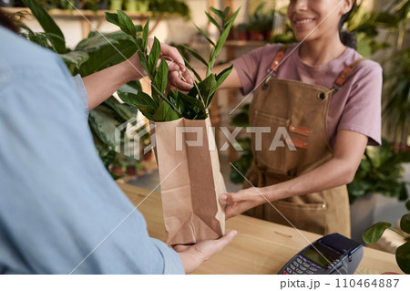Unrecognizable smiling saleswoman passing paper bag with houseplant to client at store Unrecognizable smiling saleswoman passing paper bag with houseplant to client at store 110464887