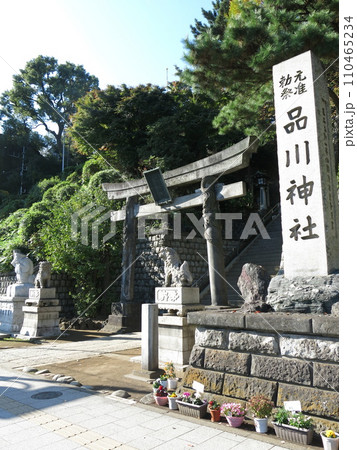品川区の品川神社(社号標・双龍鳥居) 品川区の品川神社(社号標・双龍鳥居) 110465234