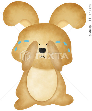 Rabbit crying Rabbit crying 110465460