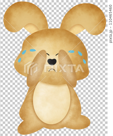 Rabbit crying Rabbit crying 110465460