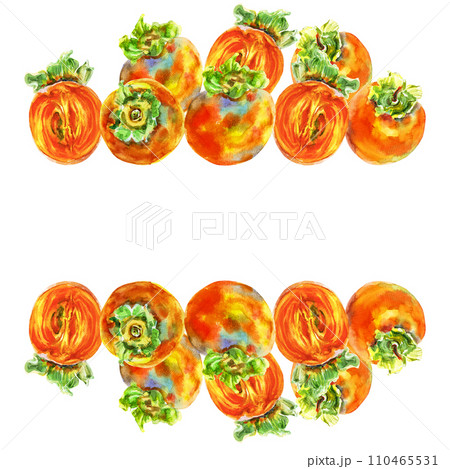 Template of persimmon orange fruit with leaves. Watercolor hand-drawn elements. Isolated on white background. Delicious fruit clip-art illustration. Used on labels, napkins, towels, tableware, package 110465531