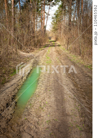 Puddle on a dirt road in the forest, April day 110465562