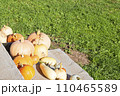 Multi-colored pumpkins lie on the steps of the porch. Large and small pumpkins lie on the porch. 110465589