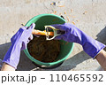 Female hands in gloves peel fresh carrots into a bucket. Cleaning carrots only collected from the garden. 110465592