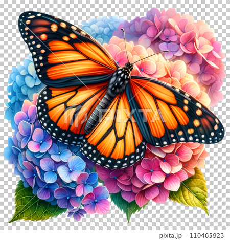 Monarch Butterfly with Hydrangeas Clipart Transparent Background, Butterfly with Flowers Clipart. Monarch Butterfly with Hydrangeas Clipart Transparent Background, Butterfly with Flowers Clipart. 110465923
