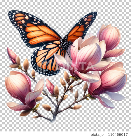 Monarch Butterfly with Magnolia Clipart Transparent Background, Butterfly with Flowers Clipart. Monarch Butterfly with Magnolia Clipart Transparent Background, Butterfly with Flowers Clipart. 110466017