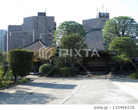 品川区の長徳寺(本堂・閻魔堂) 品川区の長徳寺(本堂・閻魔堂) 110466216